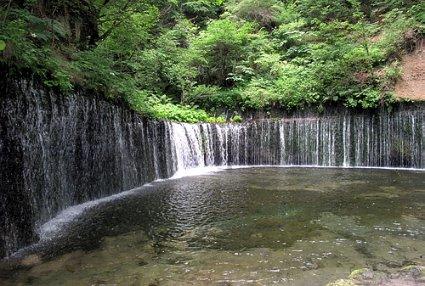 蓝狐视频